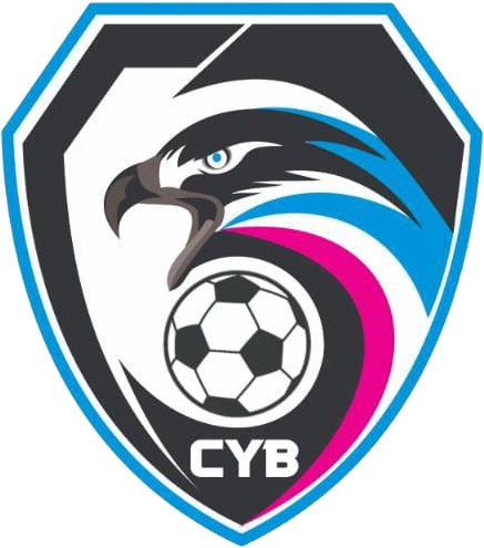 Logo Club Young Boys